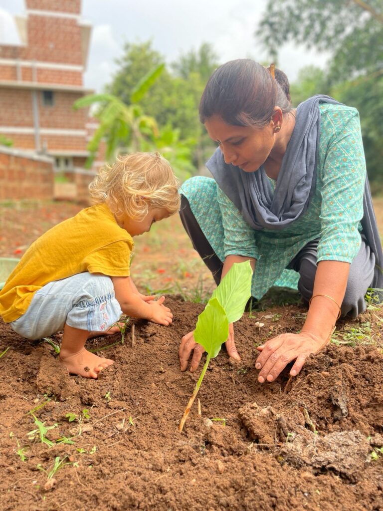 Indian lady and child planting turmeric